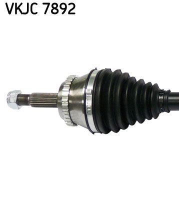 VKJC 7892_2.JPG