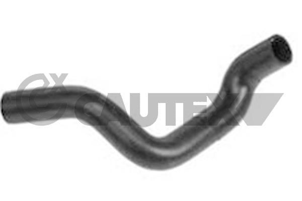 Tubería de radiador CAUTEX 011320