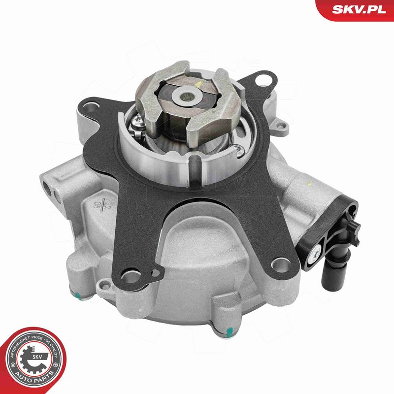 ESEN SKV 18SKV087 Vacuum Pump, braking system