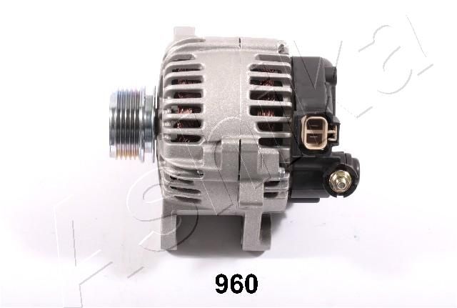 002-M960_1.JPG