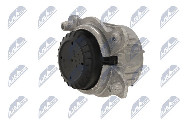 Paigutus, Mootor, NTY ZPS-ME-029