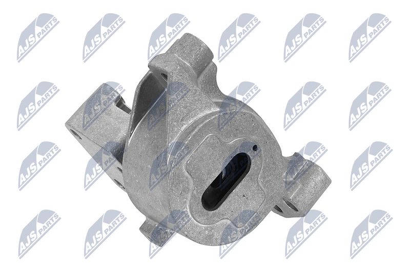 Paigutus, Mootor, NTY ZPS-PE-031