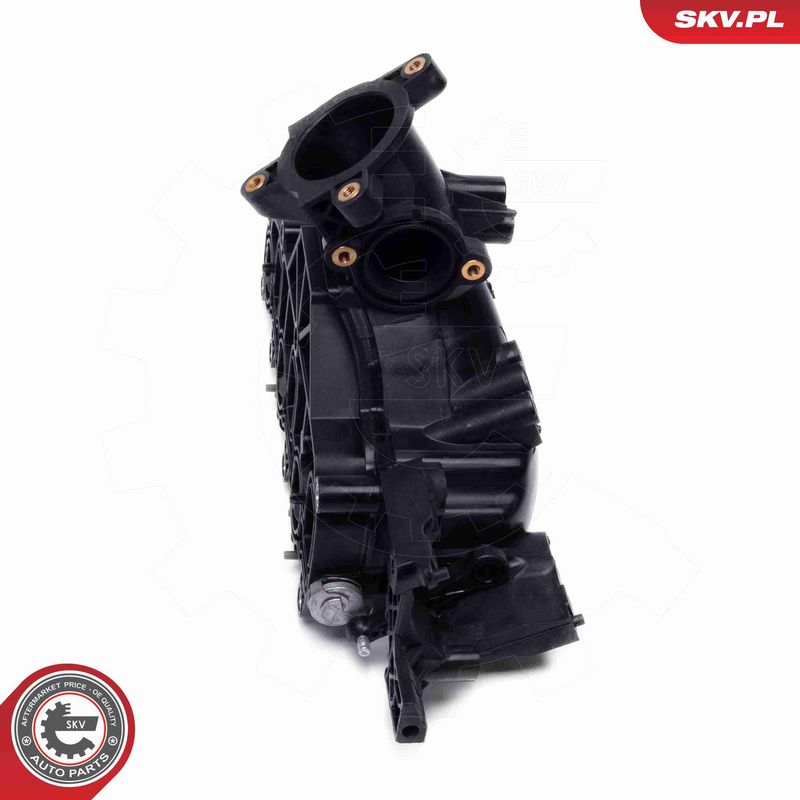 ESEN SKV 49SKV080 Intake Manifold Module