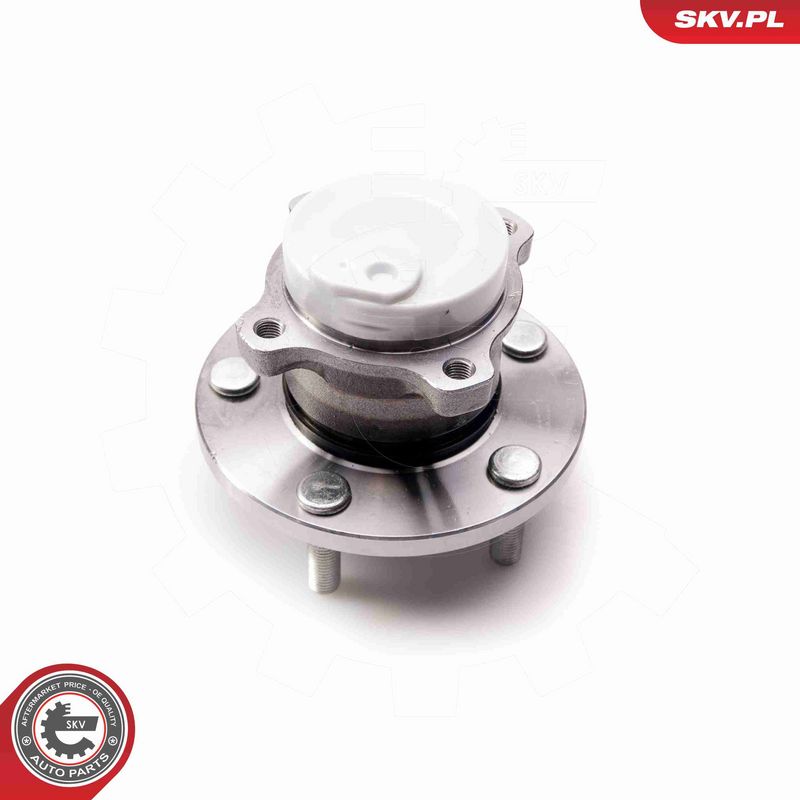 ESEN SKV 29SKV079 Wheel Bearing Kit