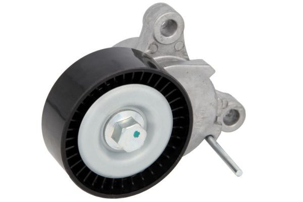 Intinzator curea, curea distributie BTA E3X0013BTA