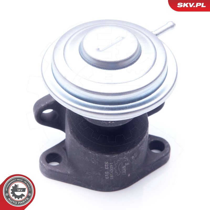 EGR-klapp, ESEN SKV 14SKV183