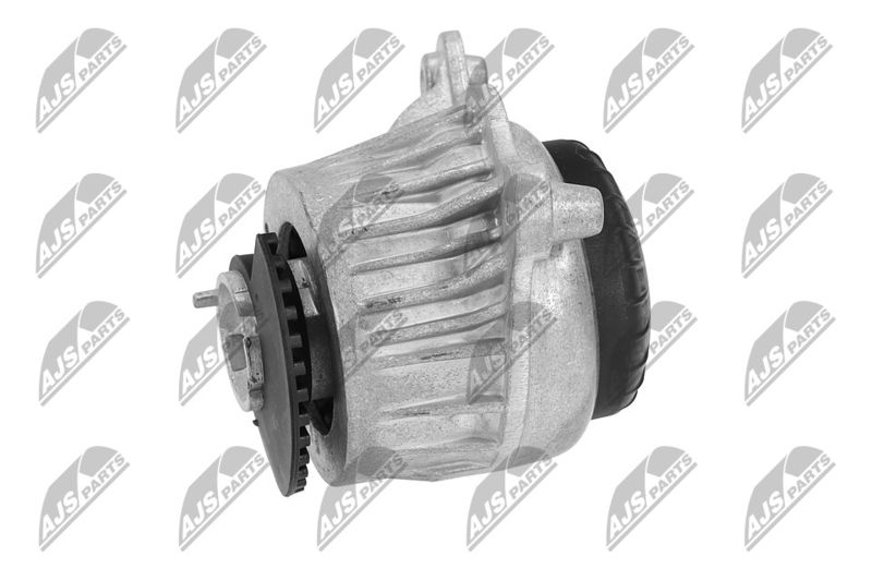 Paigutus, Mootor, NTY ZPS-ME-019