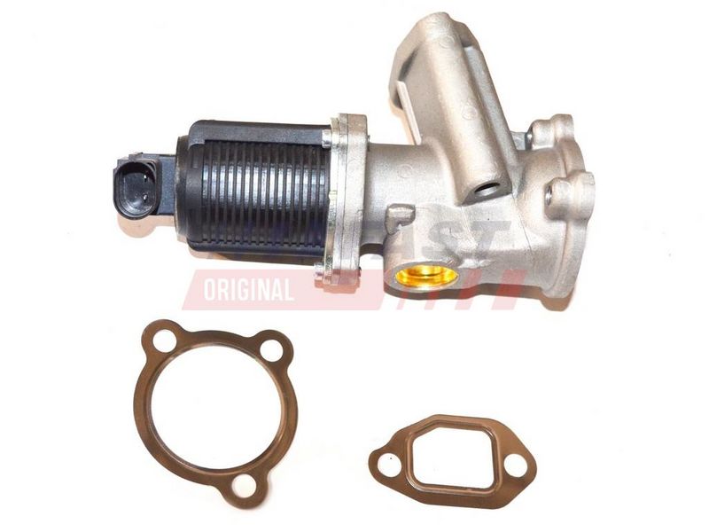 EGR-klapp, FAST FT60204