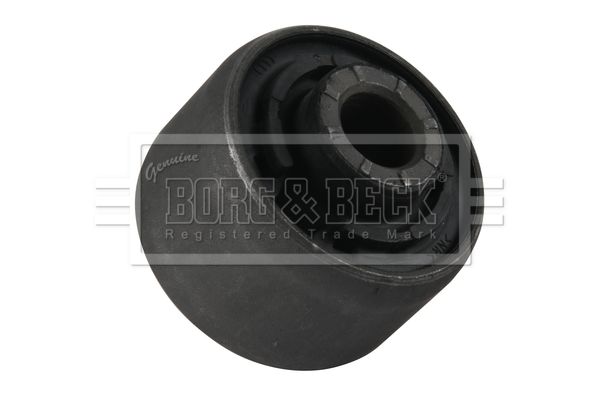 BSK8186_5859289.JPG