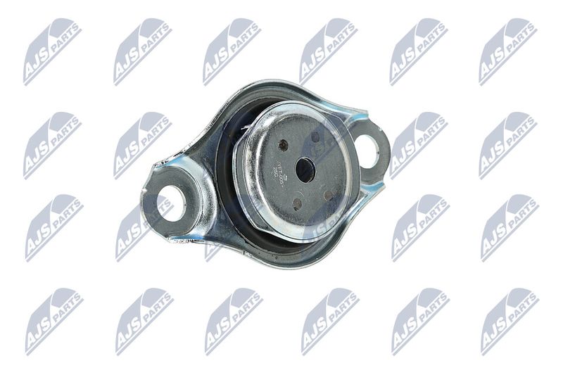 Paigutus, Mootor, NTY ZPS-FT-005