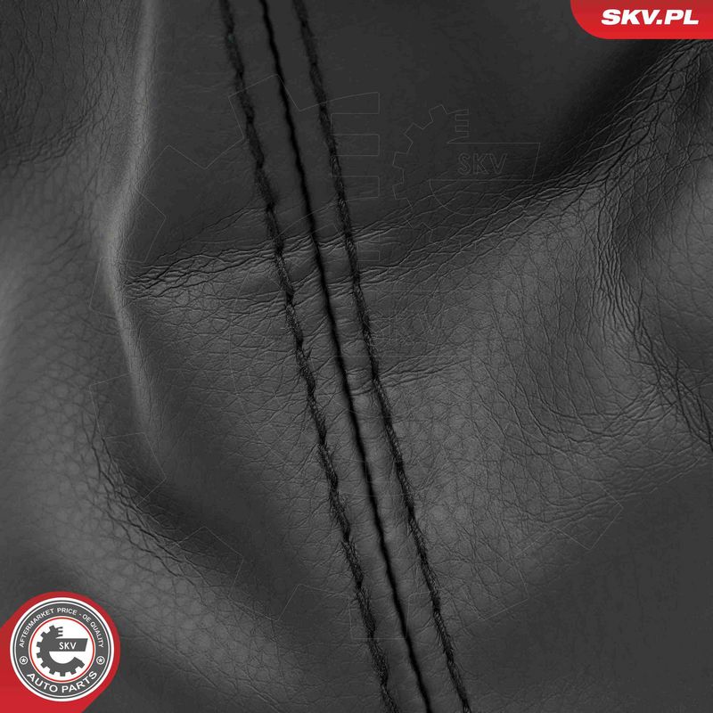 Käigukanginupp, ESEN SKV...