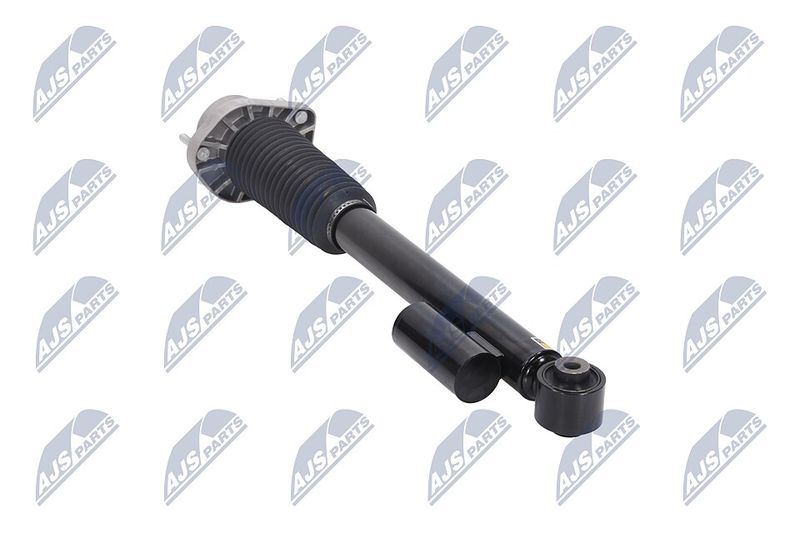 Amort, NTY A-LR-020