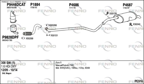 PE916.JPG