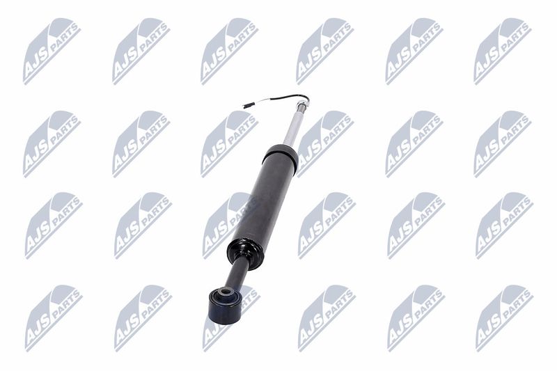Amort, NTY A-MA-002