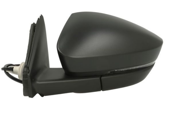 BLIC 5402-43-1926310P Exterior Mirror