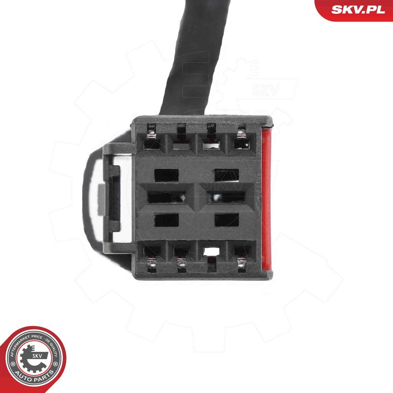 ESEN SKV 52SKV226 Electric Motor, tailgate