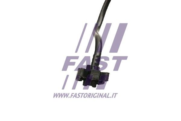 FT61162_3_1.JPG