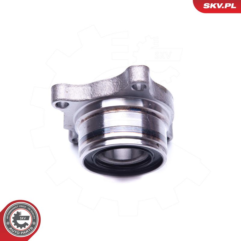 Rattalaagrikomplekt, ESEN SKV 29SKV191