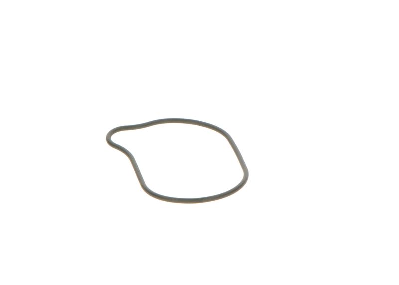 BOSCH 2440210028 Rubber Ring