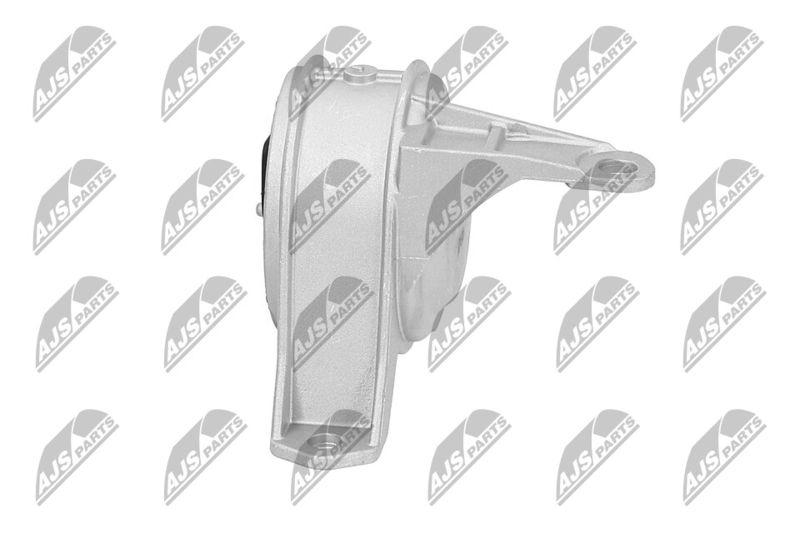 Paigutus, Mootor, NTY ZPS-PL-001