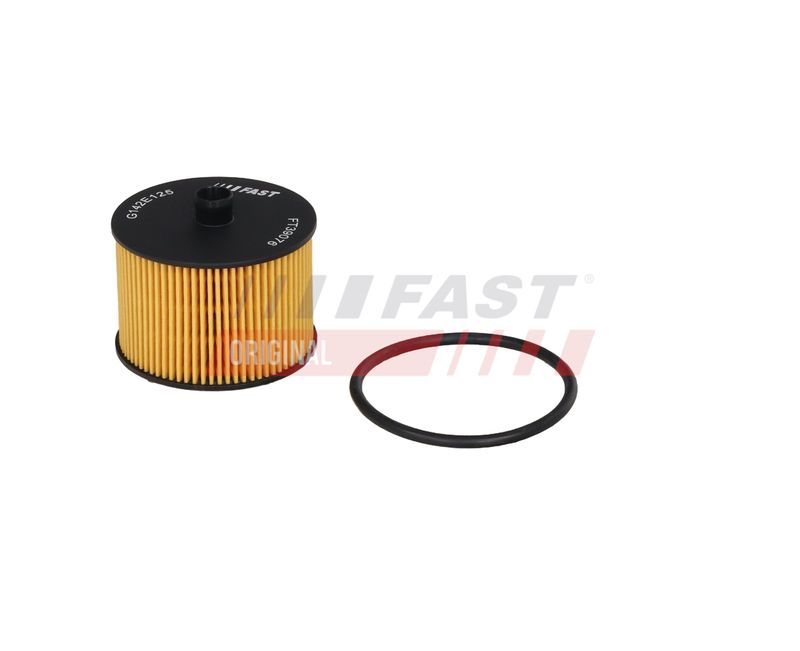 Kütusefilter, FAST FT39076