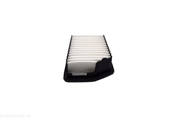 AUTOMEGA 250051710 Air Filter