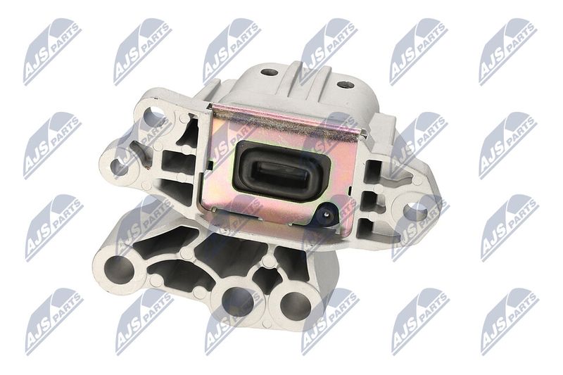 Paigutus, Mootor, NTY ZPS-CH-131