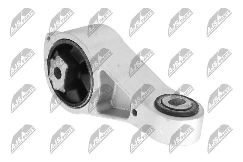 Paigutus, Mootor, NTY ZPS-CH-056