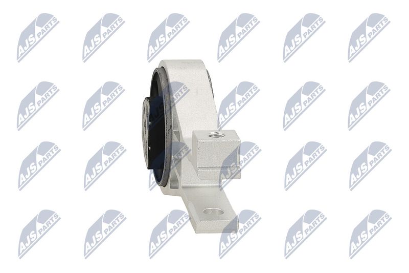 Paigutus, Mootor, NTY ZPS-PL-002