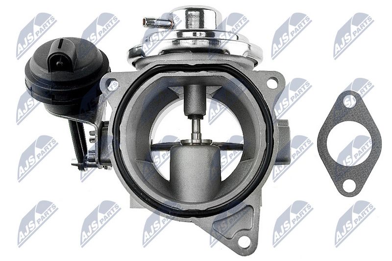 egr-vw-002_3-wm.JPG