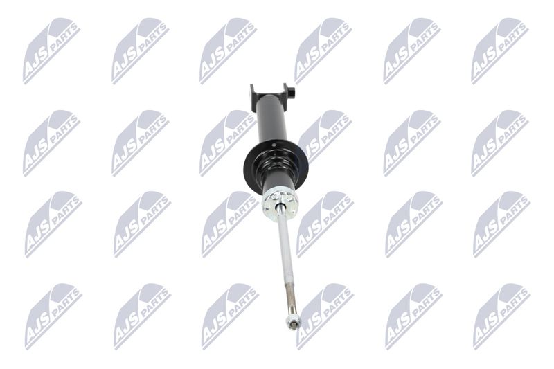 Amort, NTY A-CH-054