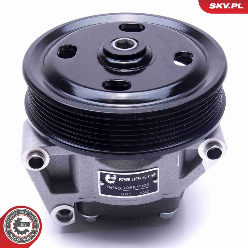 ESEN SKV 10SKV309 Hydraulic Pump, steering