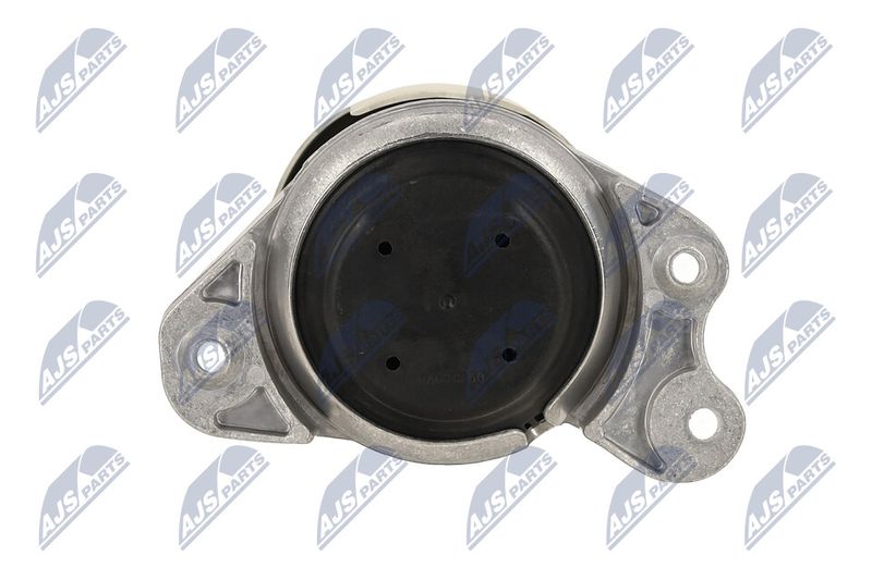 Paigutus, Mootor, NTY ZPS-ME-079