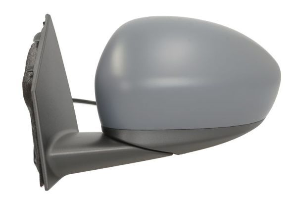 BLIC 5402-07-2590312P Exterior Mirror