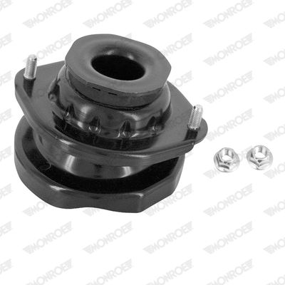 MK251L_2997973.JPG