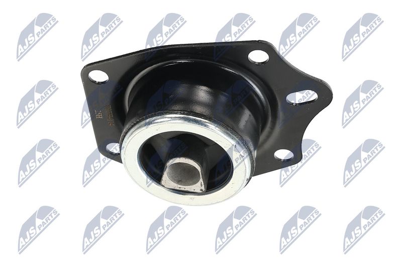 Paigutus, Mootor, NTY ZPS-CH-014