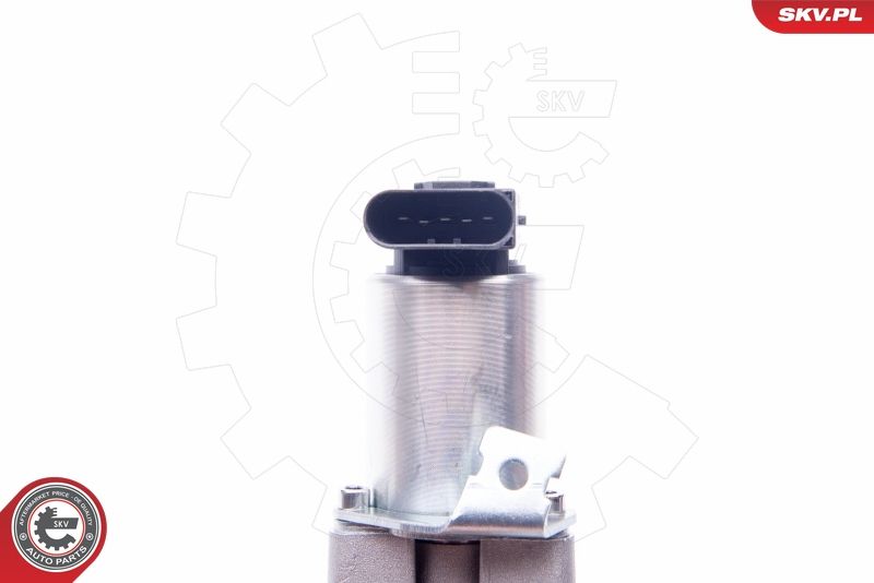 ESEN SKV 14SKV186 EGR Valve