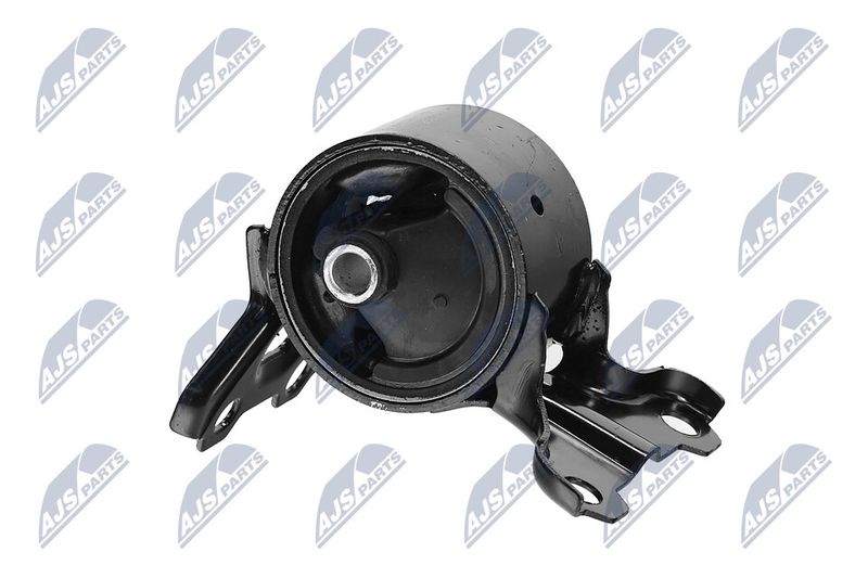 Paigutus, Mootor, NTY ZPS-CH-179