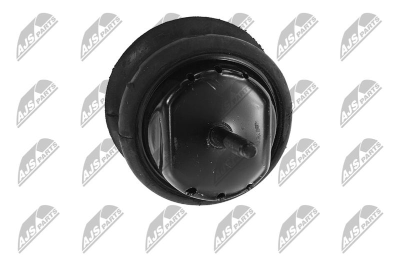 Paigutus, Mootor, NTY ZPS-CH-070