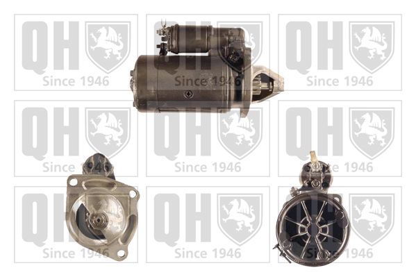 QH_QRS1907_GRUPPE.JPG