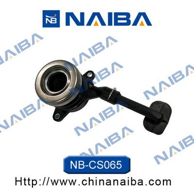 NB-CSC065.JPG