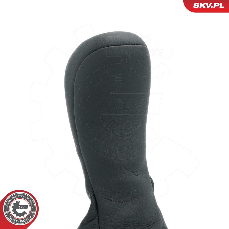 Käigukanginupp, ESEN SKV...