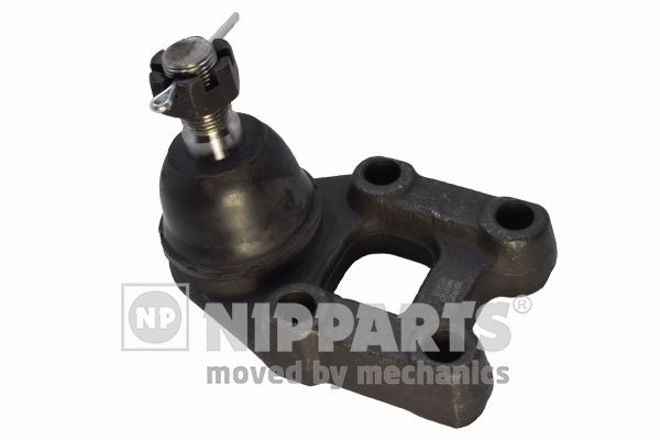 NIP_N4881007_WM_01.JPG