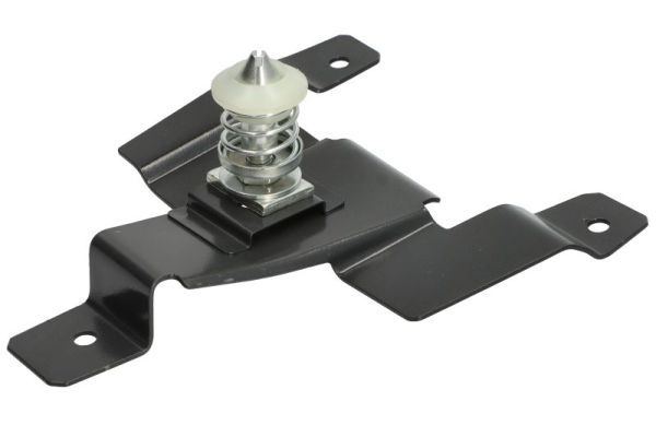 Halter, Kühlergitter