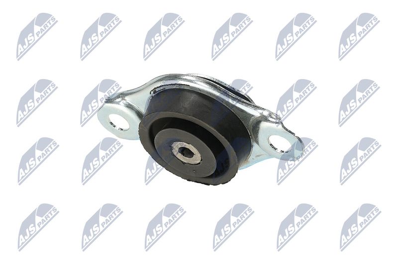 Paigutus, Mootor, NTY ZPS-FT-005