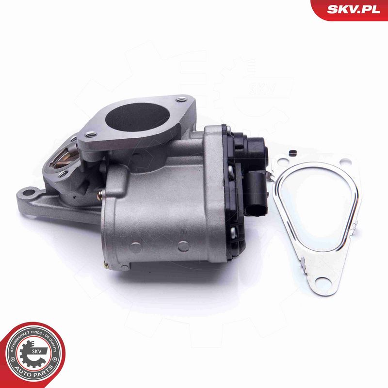 ESEN SKV 14SKV168 EGR Valve
