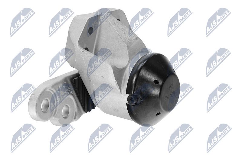 Paigutus, Mootor, NTY ZPS-FR-053