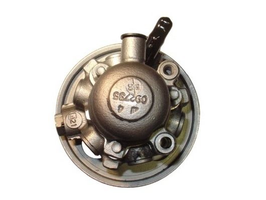 SPIDAN 53576 Hydraulic Pump, steering