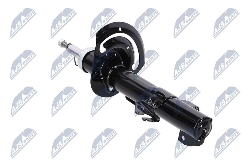 Amort, NTY A-CH-084