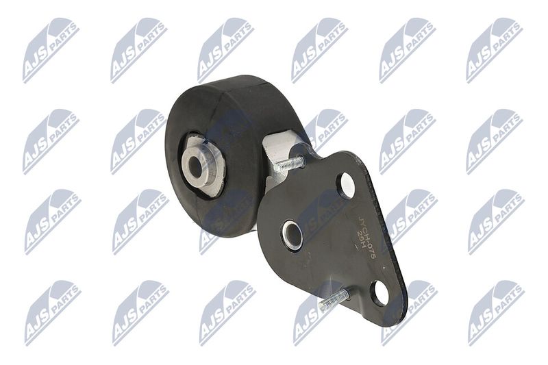 Paigutus, Mootor, NTY ZPS-CH-075